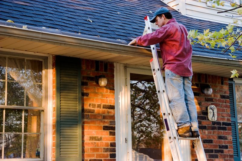Local Gutter Service Providers
