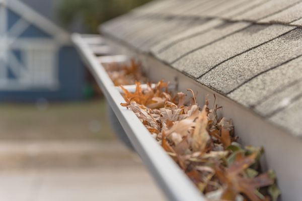 Leaf Barrier Installation in Boulder